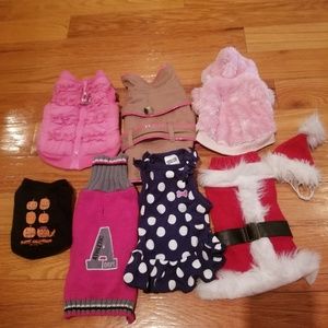 Dog clothes